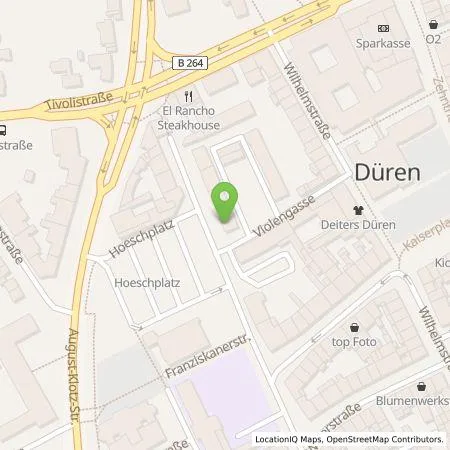 Standortübersicht der Tankstelle Lei Zhang in 52349 Düren