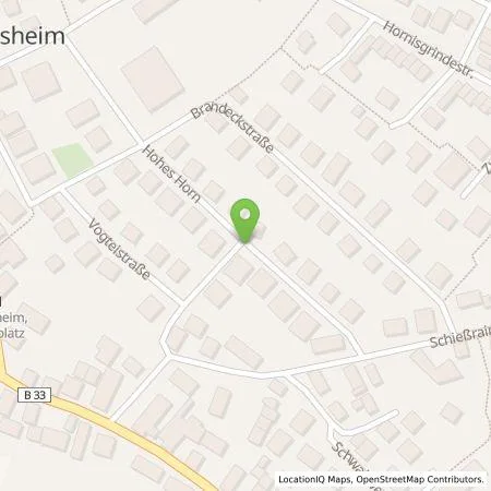 Standortübersicht der Tankstelle Leyn GmbH in 77652 Offenburg