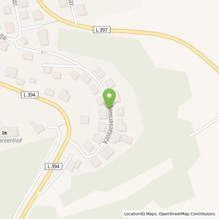 Standortübersicht der Tankstelle Matthias Schwantner in 67814 Dannenfels