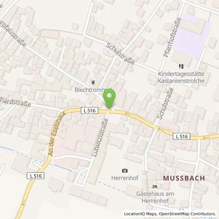 Standortübersicht der Tankstelle Mithilesh  Shah in 67435 Neustadt an der Weinstraße