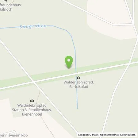 Standortübersicht der Tankstelle Ramon Horn in 67454 Haßloch