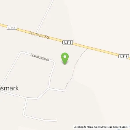 Standortübersicht der Tankstelle Rene Kant in 23883 Brunsmark