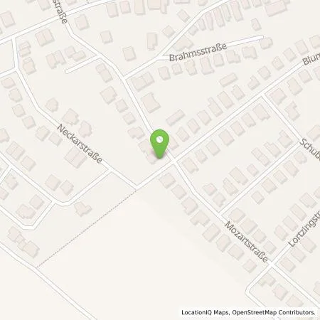 Standortübersicht der Tankstelle Thomas Voelkering in 68789 Sankt Leon-Rot