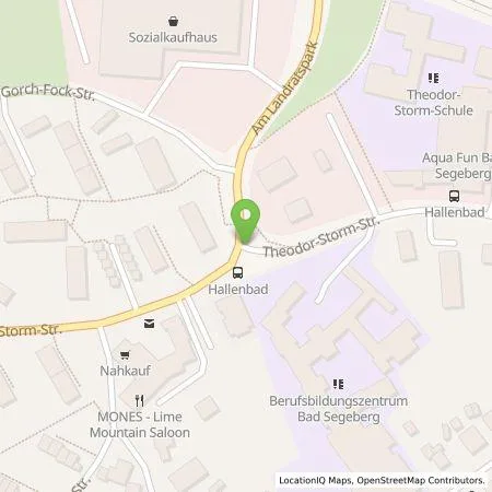 Standortübersicht der Tankstelle Thorsten Kost in 23795 Bad Segeberg