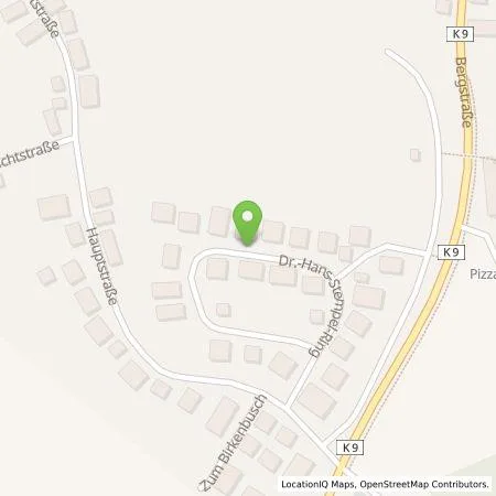 Standortübersicht der Tankstelle Viktor Beer in 66879 Steinwenden