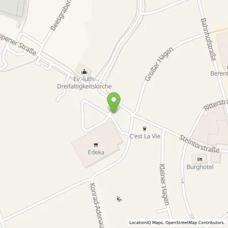 Standortübersicht der Tankstelle EDEKA-MIHA Charge GmbH in 49740 Haselünne