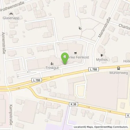 Standortübersicht der Tankstelle Schenke Delikatessen GmbH & CO. KG in 33332 Gütersloh