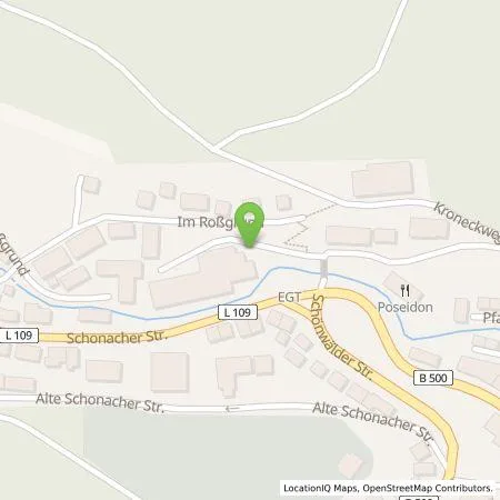 Standortübersicht der Tankstelle EGT Energie GmbH in 78098 Triberg