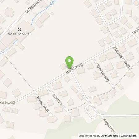 Standortübersicht der Tankstelle Regionalwerk Bodensee GmbH & Co. KG in 88085 Langenargen