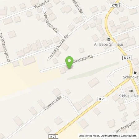 Standortübersicht der Tankstelle Pluq Assets BV in 55487 Sohren