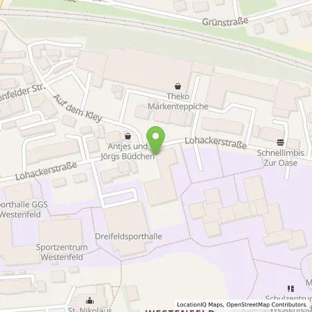 Standortübersicht der Tankstelle Hans Steiner GmbH in 44867 Bochum