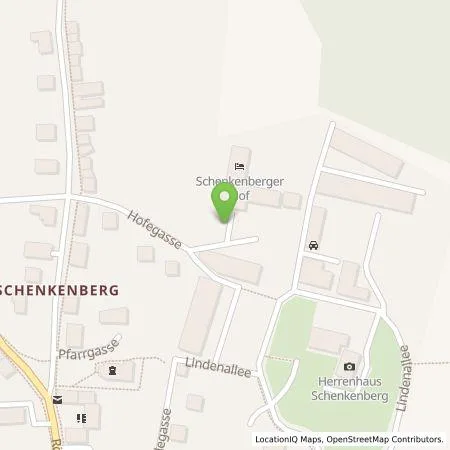 Standortübersicht der Tankstelle Schenkenberger Hof GmbH & Co. KG in 04509 Delitzsch