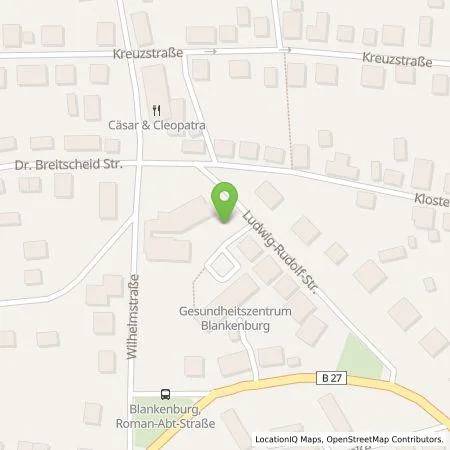 Standortübersicht der Tankstelle Stadtwerke Blankenburg GmbH in 38889 Blankenburg (Harz)