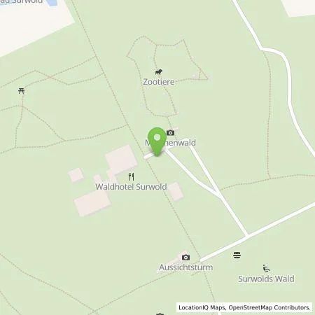 Standortübersicht der Tankstelle Backcharge GmbH in 26903 Surwold