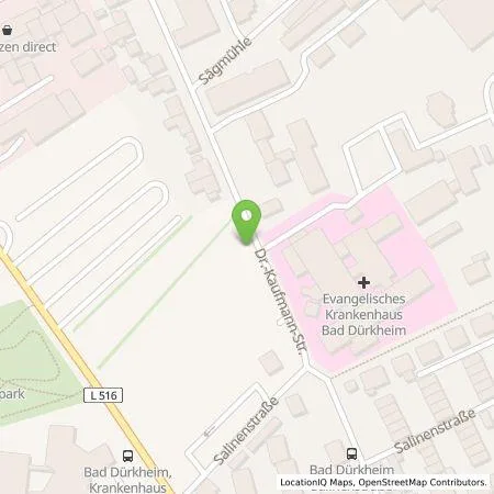 Standortübersicht der Tankstelle PfalzLader GmbH in 67098 Bad Dürkheim