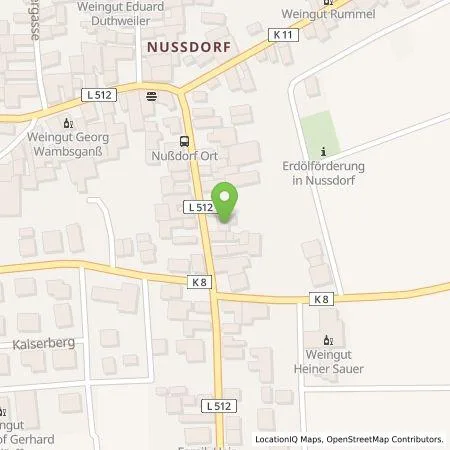 Standortübersicht der Tankstelle Wirelane GmbH in 76829 Landau in der Pfalz