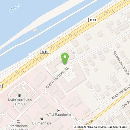 Standortübersicht der Tankstelle Wirelane GmbH in 65479 Raunheim