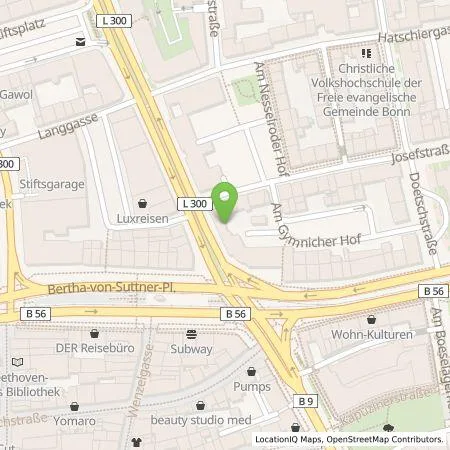 Standortübersicht der Tankstelle Wirelane GmbH in 53111 Bonn