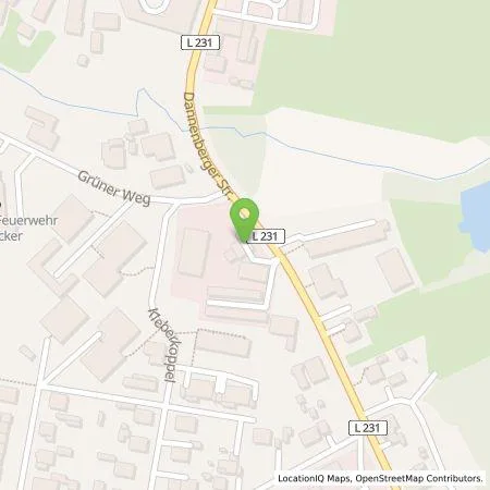 Standortübersicht der Tankstelle Wirelane GmbH in 29456 Hitzacker (Elbe)