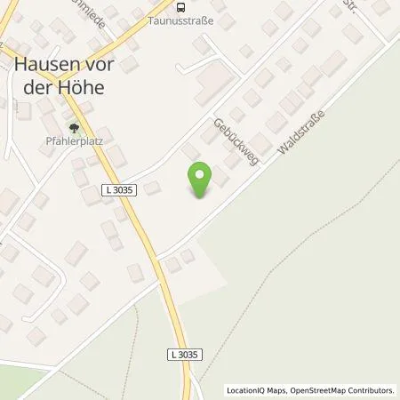 Standortübersicht der Tankstelle ADIOS HMS in 65388 Schlangenbad