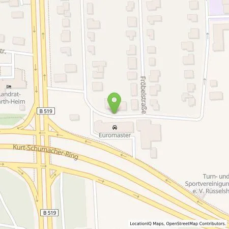 Standortübersicht der Tankstelle Euromaster GmbH in 65428 Rüsselsheim