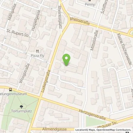 Standortübersicht der Tankstelle Electronic Vehicle for All in 67547 Worms