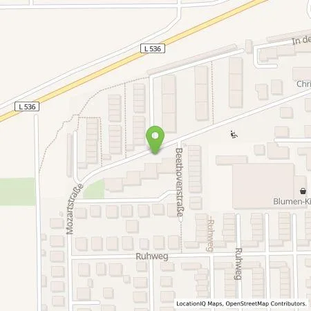 Standortübersicht der Tankstelle MVV Energie AG in 69198 Schriesheim