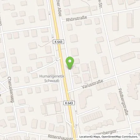 Standortübersicht der Tankstelle ESWE Versorgungs AG in 65187 Wiesbaden