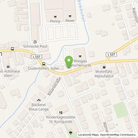 Standortübersicht der Tankstelle Pfalzwerke AG in 67373 Dudenhofen