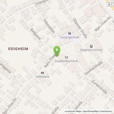 Standortübersicht der Tankstelle Technische Werke Ludwigshafen am Rhein AG in 67069 Ludwigshafen am Rhein