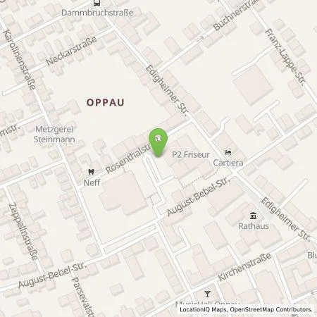 Standortübersicht der Tankstelle Technische Werke Ludwigshafen am Rhein AG in 67069 Ludwigshafen am Rhein