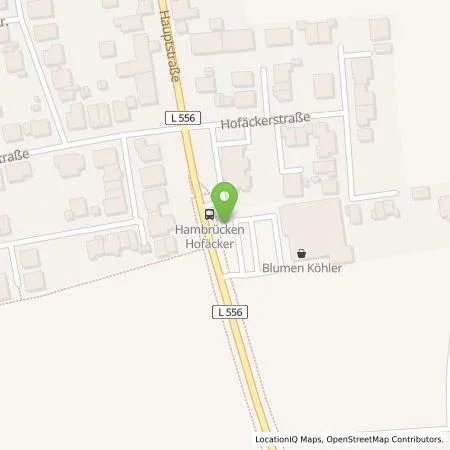 Standortübersicht der Tankstelle Pfalzwerke AG in 76707 Hambrücken