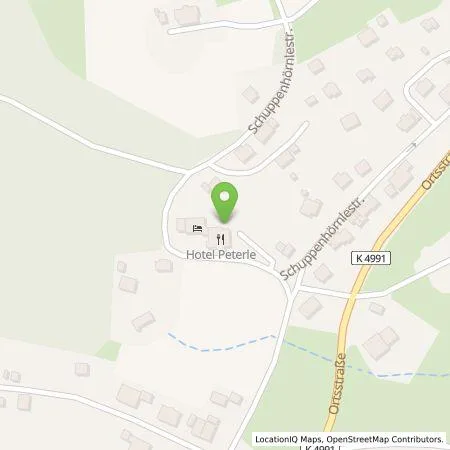 Standortübersicht der Tankstelle Alexander Bürkle GmbH & Co. KG in 79868 Feldberg (Schwarzwald)