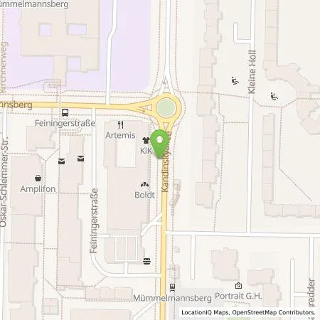 Standortübersicht der Tankstelle Hamburger Energiewerke Mobil GmbH in 22115 Hamburg