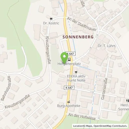 Standortübersicht der Tankstelle ESWE Versorgungs AG in 65193 Wiesbaden