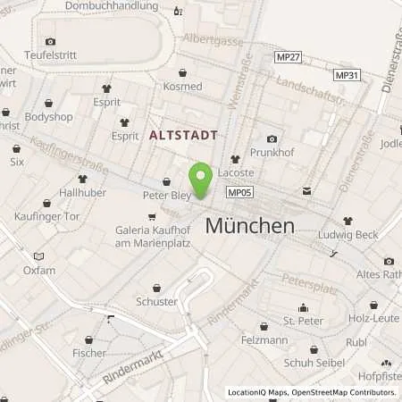 Standortübersicht der Tankstelle Wackler Holding SE in 81829 München