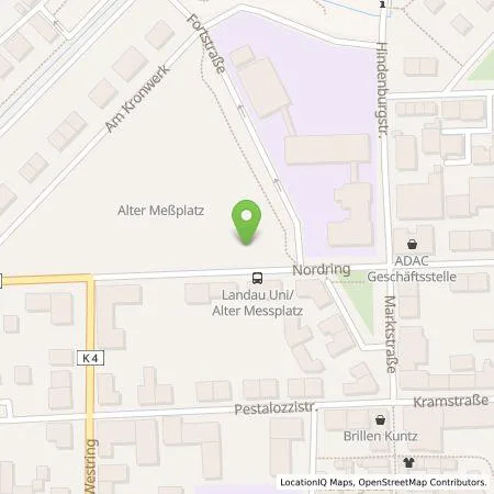 Standortübersicht der Tankstelle ESEL.CAB GmbH in 76829 Landau in der Pfalz