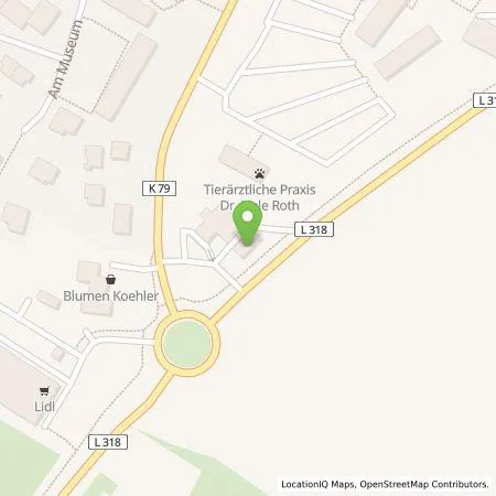 Standortübersicht der Tankstelle BP Europa SE in 24113 Molfsee