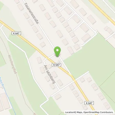 Standortübersicht der Tankstelle ESWE Versorgungs AG in 65195 Wiesbaden