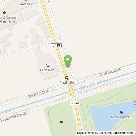 Standortübersicht der Tankstelle Ladestationen Südwest GmbH & Co. KG in 66482 Zweibrücken