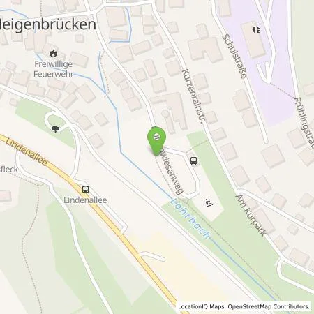 Standortübersicht der Tankstelle Energieversorgung Main-Spessart GmbH in 63869 Heigenbrücken