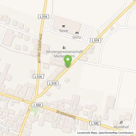 Standortübersicht der Tankstelle Ladestationen Südwest GmbH & Co. KG in 67435 Neustadt an der Weinstraße