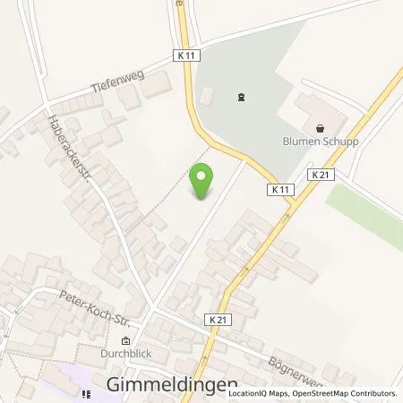 Standortübersicht der Tankstelle Ladestationen Südwest GmbH & Co. KG in 67435 Gimmeldingen