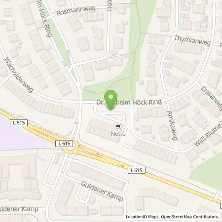 Standortübersicht der Tankstelle Wattif Europe GmbH in 38239 Salzgitter