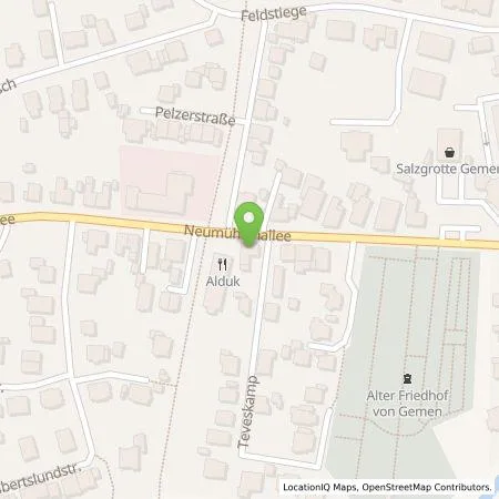 Standortübersicht der Tankstelle EMERGY Führungs- und Servicegesellschaft mbH in 46325 Borken