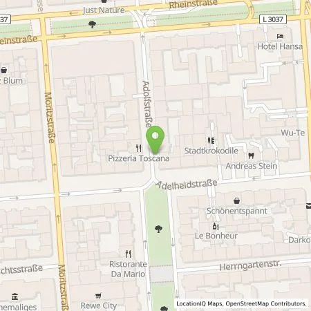 Standortübersicht der Tankstelle ESWE Versorgungs AG in 65185 Wiesbaden