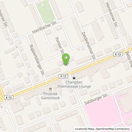 Standortübersicht der Tankstelle Technische Werke Ludwigshafen am Rhein AG in 67065 Ludwigshafen am Rhein