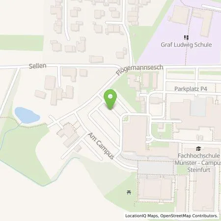 Standortübersicht der Tankstelle Stein GmbH in 48565 Steinfurt