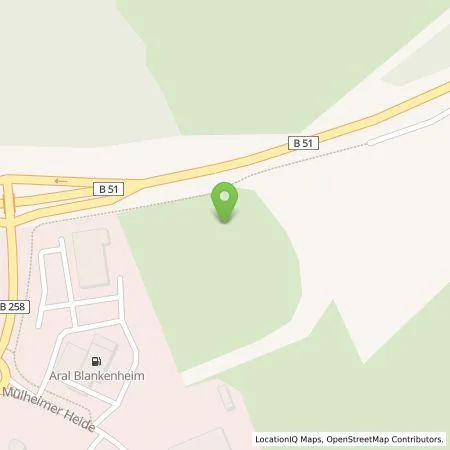 Standortübersicht der Tankstelle EWE Go GmbH in 53945 Blankenheim