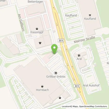 Standortübersicht der Tankstelle EWR AG in 67547 Worms